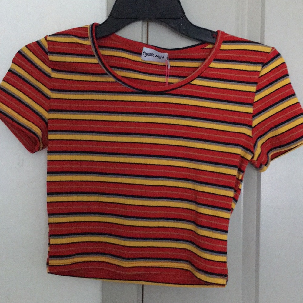 Tiger Mist Striped Cropped Top